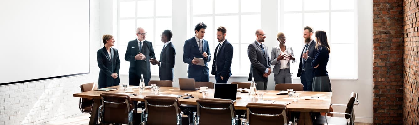 The Successful Small Business CFO